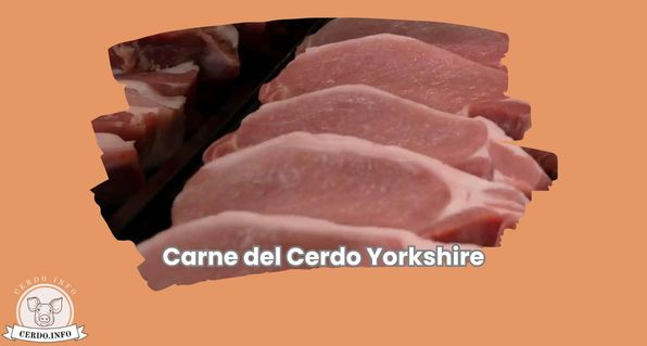 Carne del Cerdo Yorkshire