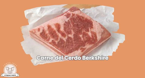 Carne del Cerdo Berkshire